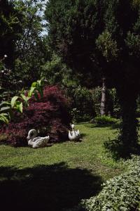 dos patos sentados en el césped en un parque en House for rest Juliet, en Velika Gorica