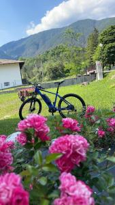 un vélo garé dans un champ avec des fleurs roses dans l'établissement B&B Stari Mlin - Vecchio Mulino, à San Giorgio