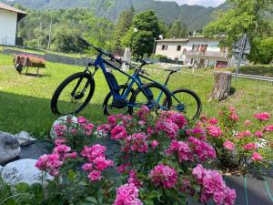 Un vélo bleu garé à côté d'un bouquet de fleurs dans l'établissement B&B Stari Mlin - Vecchio Mulino, à San Giorgio