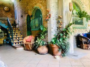 a group of potted plants on the side of a building at Casa Cereza Apartments in Puerto Vallarta