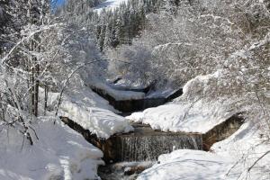 Bad Bergfallerhof talvella