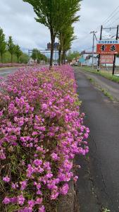 Fotografia z galérie ubytovania ビジネスホテル幸楽 v destinácii Abashiri