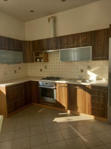 cocina con armarios de madera, fregadero y fogones en Apartament ZOSIA, en Korczyna