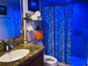 ein Badezimmer mit einem blauen Duschvorhang und einem WC in der Unterkunft Kona Magic Honu Room in Kailua-Kona