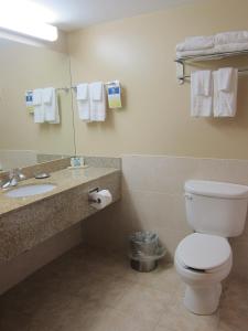 bagno con servizi igienici, lavandino e specchio di Holiday Inn Express & Suites Halifax - Bedford, an IHG Hotel a Halifax