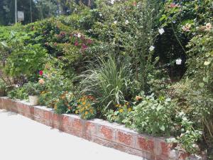 einen Garten mit Blumen und Pflanzen an einer Ziegelmauer in der Unterkunft Dreamwood FarmStay in Hassan