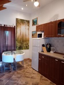 Кухня или кухненски бокс в Apartments Ivanković