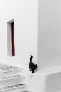 Galería fotográfica de Mykonos Gem en Mykonos ciudad