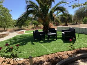 un grupo de sillas sentadas en un césped con una palmera en Quinta da Horta Nova, en Elvas