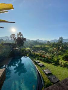 una piscina con vistas a un campo en Sawah Indah Villa, en Sidemen