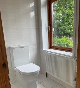 La salle de bains est pourvue de toilettes blanches et d'une fenêtre. dans l'établissement Kerry Country House, 