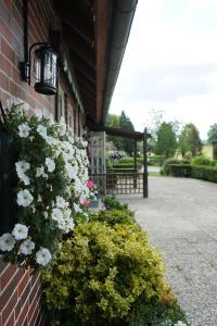 Un jardín fuera de Niedersachsen Hof