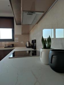 una cocina con fregadero y una maceta en una encimera en VagiaNa apartment Διαμέρισμα κοντά στο αεροδρόμιο, en Antimácheia