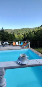 Piscina a Cabana Cerbu o a prop