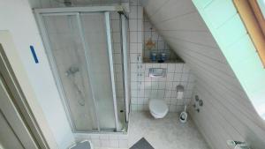 an attic bathroom with a shower and a toilet at Rummy's Ferienwohnung mit Garten in Wernigerode