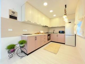 a kitchen with pink cabinets and a refrigerator at Vila Rolizo in Braşov