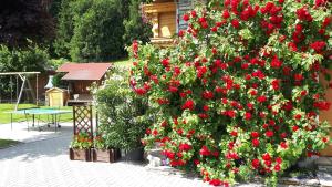 een bos van rode bloemen voor een huis bij Apartment Haus Dengg in Mauterndorf