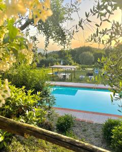 una piscina con gazebo in un cortile di B&B Alloro a Capannori