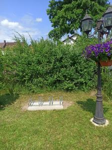 un banco de parque junto a un poste de luz con flores en Atostogų namai, en Druskininkai