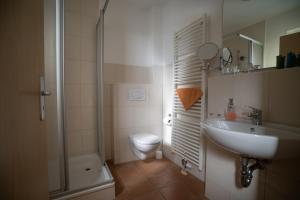 La salle de bains est pourvue d'un lavabo, de toilettes et d'une douche. dans l'établissement Haus Hotel Inter, à Buxtehude