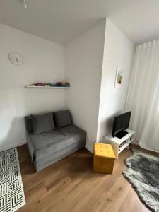 uma sala de estar com um sofá e uma televisão em Apartament Love Góry Karpacz Centrum em Karpacz