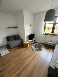 uma sala de estar com um sofá e uma televisão em Apartament Love Góry Karpacz Centrum em Karpacz