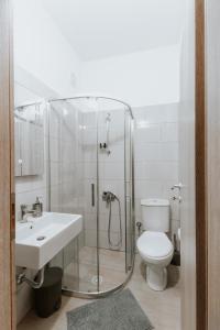 een badkamer met een douche, een toilet en een wastafel bij Panoramic Vlachos in Gjirokastër