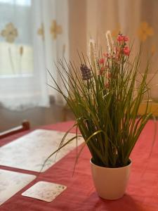 eine Vase voller Blumen auf einem Tisch in der Unterkunft Alba Apartmany Železná Ruda in Železná Ruda