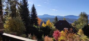 O vedere generală la munți sau o vedere la munte luată de la acest chalet