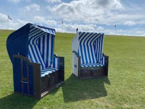 twee blauwe stoelen op een grasveld bij Appartement 1 mit Küche und neuem Bad, frisch saniert in Friedrichskoog