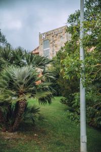 Sodas prie apgyvendinimo įstaigos Hotel Arha Mar Comillas