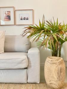 uma sala de estar com um sofá branco e uma planta em Cosy Home no Porto