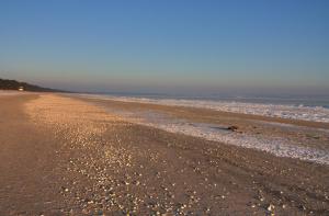 una spiaggia con rocce e l'oceano sullo sfondo di IFA Rügen Hotel & Ferienpark a Binz