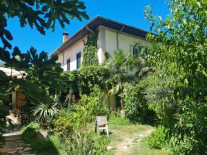 Un jardín fuera de Mi Casa es Tu Casa - Shkodra Backpackers Hostel