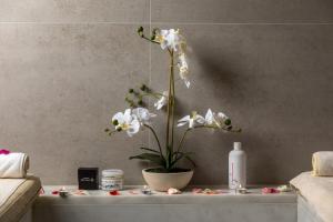 a vase with white flowers on top of a table at Campanile El Mechtel Tunis in Tunis