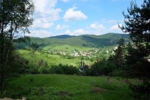 una verde collina con una città in lontananza di Halna Residence a Krynica-Zdrój