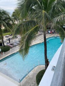 ein großer Pool mit einer Palme in einem Resort in der Unterkunft Best Resort Beach Front Condo in Miami Beach