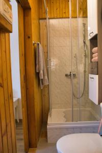 ein Bad mit einer Dusche und einer Glastür in der Unterkunft Apartma Vila Kočna in Zgornje Jezersko