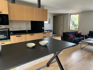 Una cocina o kitchenette en Appartements Domaine Gueguen Chablis