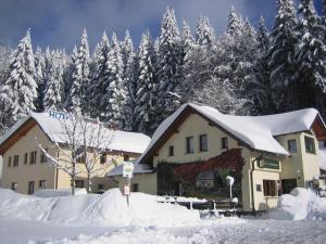 Hotel & Gasthaus Sterngrund tokom zime