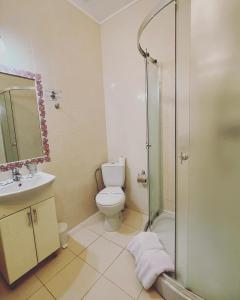 a bathroom with a shower and a toilet and a sink at Hotel Leo in Lviv