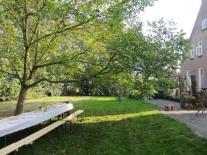 En have udenfor B&B Boerderij Wijtvliet