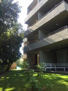 Vrt ispred objekta Excelente Departamento en Condominio Costa Pucon