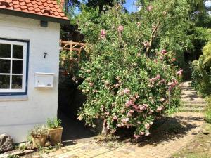 Zahrada ubytování Fischerhaus Blankenese