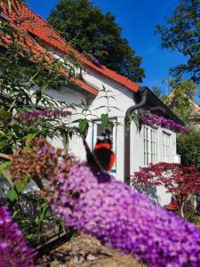 Zahrada ubytování Fischerhaus Blankenese