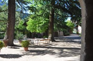 A garden outside Schloss Englar