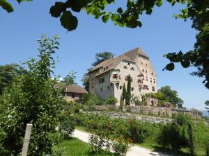 A garden outside Schloss Englar