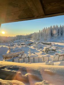 Apartments Suncani Vrhovi Kopaonik durante el invierno