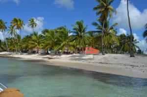 una spiaggia con palme e l'oceano di Casa Rural El Paraíso de Saona a Mano Juan