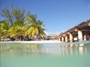 una spiaggia con palme e un edificio di Casa Rural El Paraíso de Saona a Mano Juan